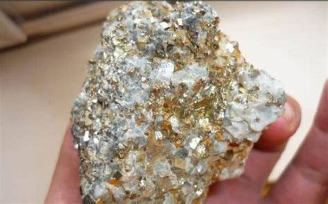山东莱州发现超大型金矿 海下2000米现“黄金国”_新闻频道_中国青年网