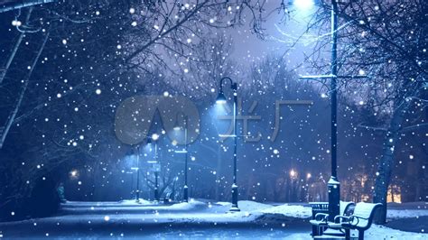 冬季雪景图片_冬季雪覆盖的田野和树木的景色素材_高清图片_摄影照片_寻图免费打包下载