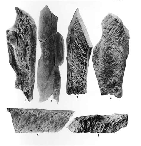 原始社会时期人类最初的主要生产工具石器