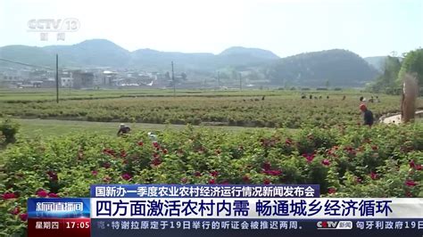 湖北之声报道：湖北 3万多个“田保姆”让农民种地更轻松--湖北省农业农村厅