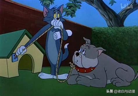 猫和老鼠：名场面，看那么多汤姆表哥走路的版本，还是原版有感觉