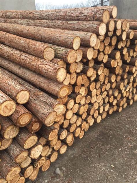 湖北长期杉木批发,杉木出售加工,木方板材,杉木厂家