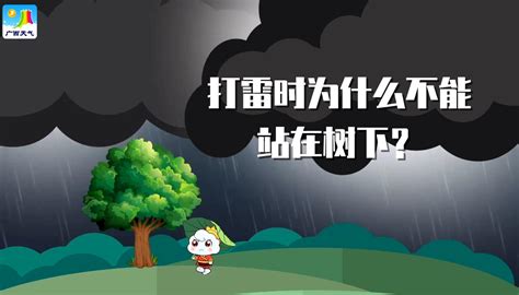 防雷电安全知识 - 深圳市雷道科技发展有限公司