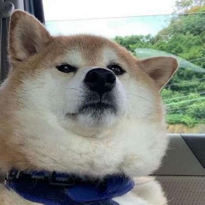 搞笑头像可爱非主流