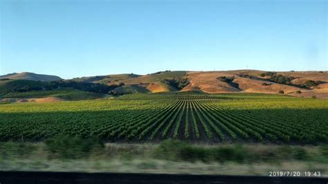 美国加州农业主产什么