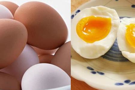 【图】水煮蛋减肥法原理 你知道是怎么实现的吗_水煮蛋减肥法_伊秀美体网|yxlady.com