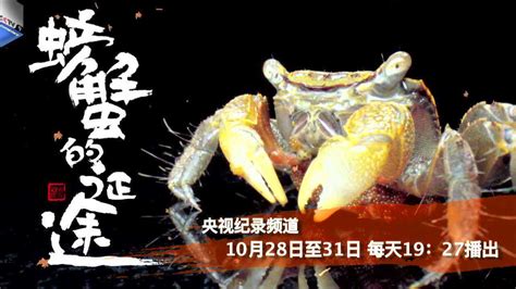 《螃蟹的征途》总宣传片90秒_腾讯视频