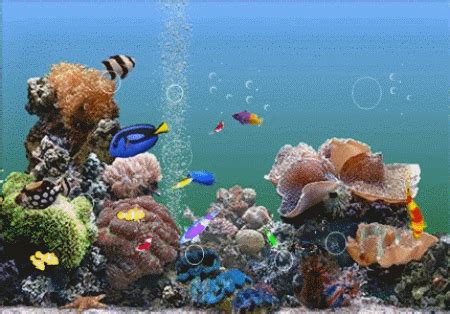 【海底世界动态屏保下载】3D海底世界动态屏保 v3.22 官方最新版-开心电玩