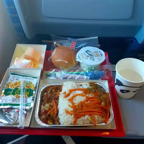 航空公司纷纷恢复机上热食供应，哪家的餐食是你的菜？_浦江头条_澎湃新闻-The Paper