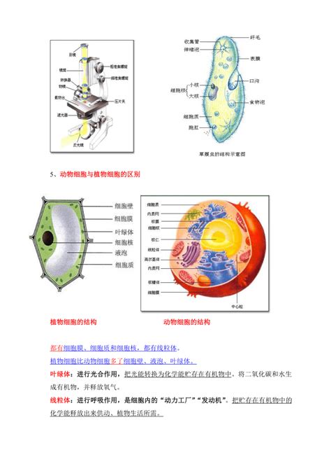 生物知识点总结 必修一生物知识结构框架图_有途教育