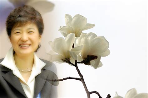 朴槿惠当选韩国首位女总统_新浪新闻