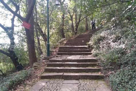 记录:杭州西湖群山爬山徒步线路实测（持续更新）-游杭州-旅游先遣队-杭州19楼