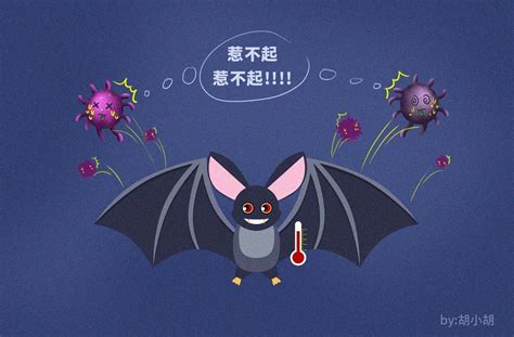 胡慧祯 疫情下的蝙蝠专访-揭秘蝙蝠携带病毒却不发病的隐情--中国科学院脑科学与智能技术卓越创新中心