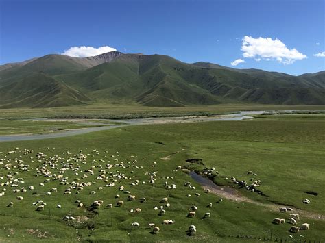 美丽新疆12日自由行-伊犁旅游攻略-游记-去哪儿攻略
