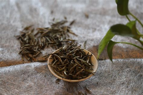 开一家茶叶加盟店需要多少钱-润元昌普洱茶网