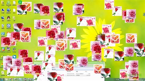 玫瑰花高清电脑桌面壁纸图片，分辨率：2560x1600