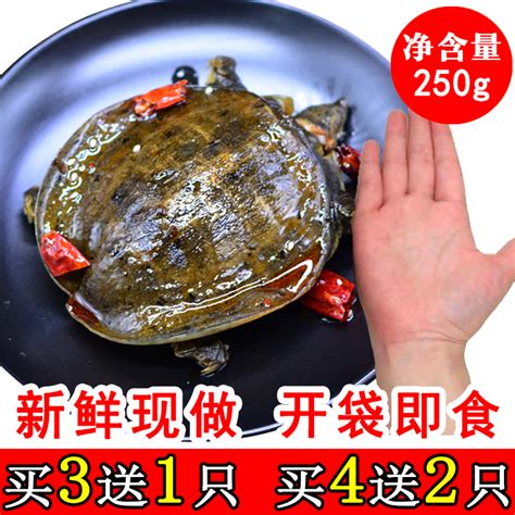 浙江台州玉环县放生一只大海龟 属国家二类保护动物_两栖专题（乌龟甲鱼）_水产养殖网
