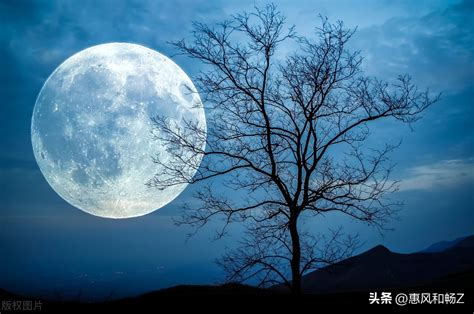 关于月亮的古诗-关于月亮的古诗,关于,月亮,古诗 - 早旭阅读
