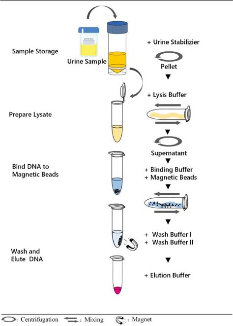 RNA提取和DNA提取实验中常见问题及过程中的注意事项_生物器材网