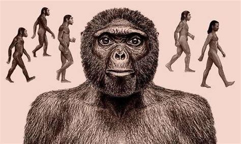 人类起源，被质疑的进化论