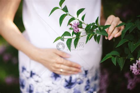 春天一个怀孕的女人对着盛开的树高清图片下载-正版图片303565150-摄图网