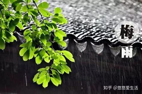 雨水节气是什么意思 有什么习俗