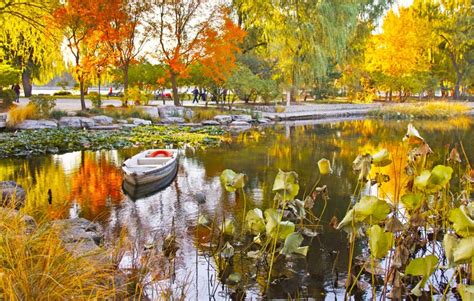 跟随滚动的车轮 瞰泸沽湖最美的秋色_航拍四川_总汇_图片_四川在线
