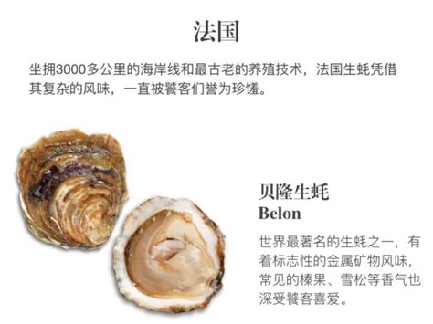 生蚝-深圳市彭成海产有限公司-让中国人吃上放心海鲜