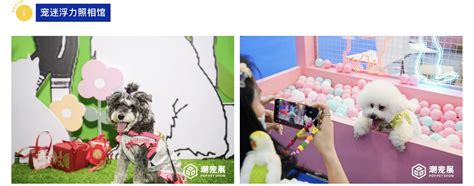 广州国际潮宠展7大亮点提前揭秘-宠物资讯-宠矩网