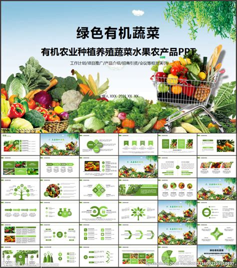 蔬菜种植基地有机蔬菜PPT__餐饮|酒店_PPT_多媒体图库_昵图网nipic.com