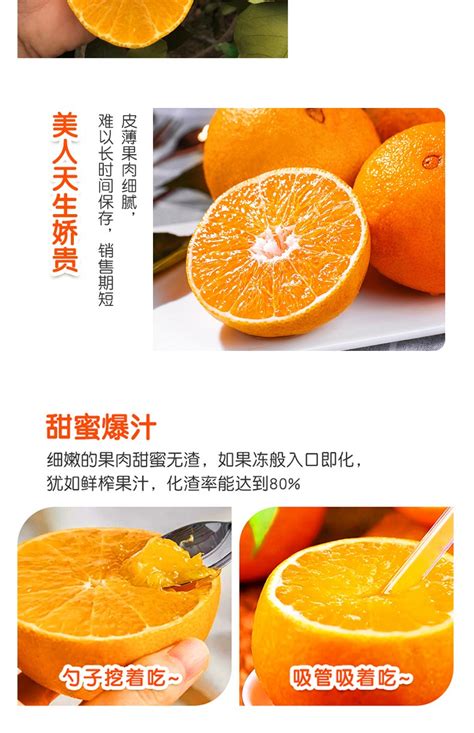 象山红美人柑橘苗 浙江宁波-食品商务网