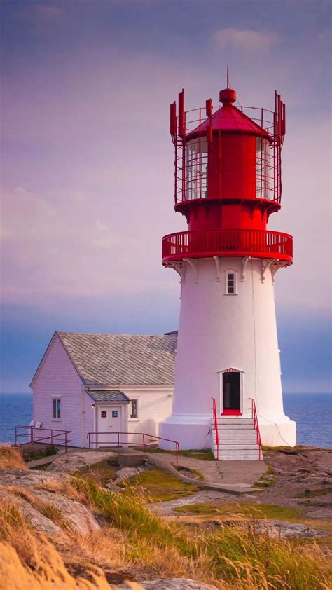 英国波特兰比尔灯塔日出在多塞特海岸自然线高清图片下载-正版图片307664556-摄图网