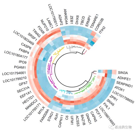CD6抗体 [3F7B5] (GTX34535) | GeneTex中国官方网站