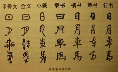 汉字的演变过程 汉字怎么演变的 - 天奇生活
