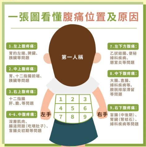 腹部疼痛9位置图图片 腹部疼痛9位置图图片