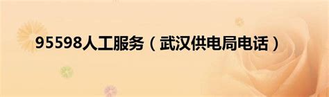国网武汉供电公司积极应对冰雪天气 _长江云 - 湖北网络广播电视台官方网站