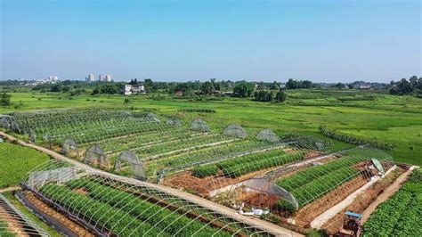 南昌农业园景观提升设计
