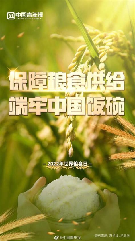 让"中国碗"盛满"中国粮"! 在漯河召开的小麦新品种展示会奋发昂扬-大河新闻