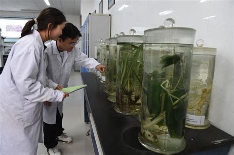 中药材所赴景宁大地开展中药材种植技术培训