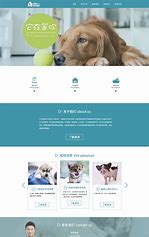 宠物店网站优化和推广计划 的图像结果
