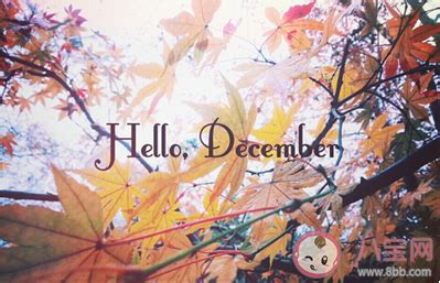 11月再见12月你好最新带字图片说说 告别十一月迎接十二月的朋友圈句子 _八宝网