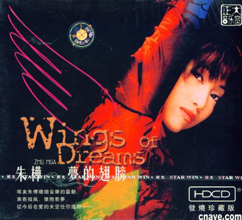 孙露的歌曲《梦的翅膀受了伤》的各个翻唱版本