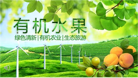 绿色有机水果蔬菜宣传推广PPT模板 - HR下载网