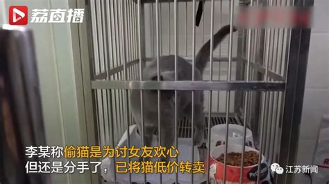 福州找猫纪实——#上海寻猫团队#上海找猫团队#上海寻猫公司 - 知乎