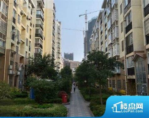 63城市房价上涨 大型房企转投二三线城市-新闻中心-荆州新闻网