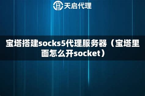 宝塔搭建socks5代理服务器（宝塔里面怎么开socket） - 天启IP代理