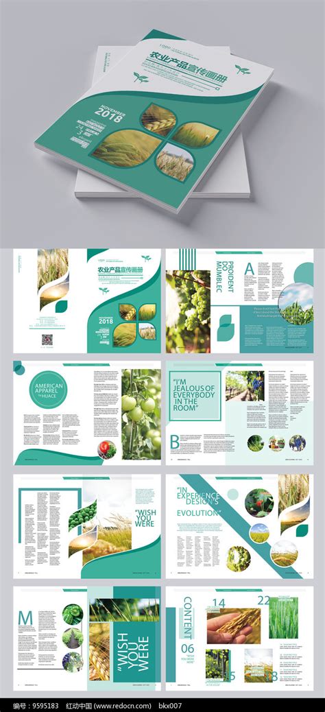 绿色农产品展板设计素材系列专辑_红动中国