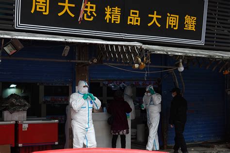 记者再访华南海鲜市场：有商户聚集现场领取政府补贴 - 国内 - 新京报网