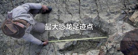 德国Muenchehagen：考古学家发现90枚恐龙足迹化石 - 神秘的地球 科学|自然|地理|探索