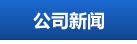 关于汉阳站高铁功能区片区综合开发项目实施方案咨询服务招标代理机构遴选结果的公示